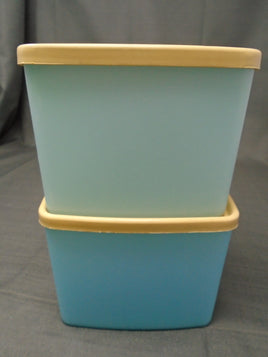 Vintage 80's Tupperware Freezer Containers - Set of 2 | Ozzy's Antiques, Collectibles & More