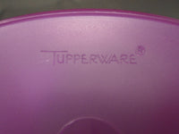 Vintage Tupperware Pie Slice Container W/ Lid-Purple | Ozzy's Antiques, Collectibles & More