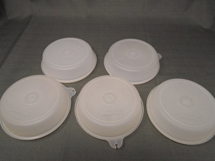Vintage Rare Tupperware Little Wonders Bowl W/Frosted Lid -Set of 5 | Ozzy's Antiques, Collectibles & More